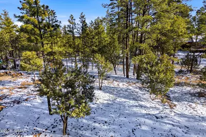 2074 Lone Mountain Road, Overgaard, AZ 85933 - Photo 6