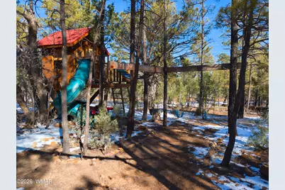 2074 Lone Mountain Road, Overgaard, AZ 85933 - Photo 2