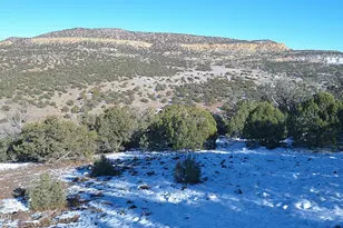 Tbd Concho 40Ac, Concho, AZ 85924 - Photo 1