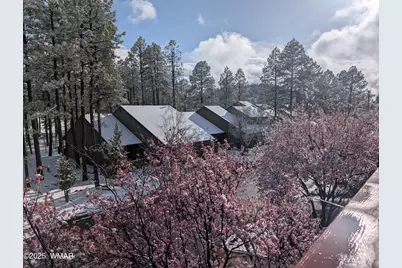 2358 E Rainbow Lane, Pinetop, AZ 85935 - Photo 50