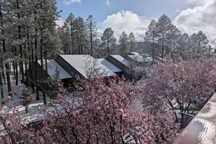 2358 E Rainbow Ln, Pinetop, AZ 85935 - Photo 50