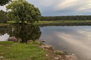 2358 E Rainbow Ln, Pinetop, AZ 85935 - Photo 44