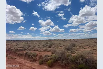 8357 Terry Trail, Snowflake, AZ 85937 - Photo 8