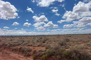 8358 Terry Trail, Snowflake, AZ 85937 - Photo 1