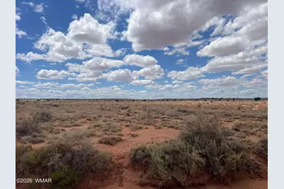 8358 Terry Trail, Snowflake, AZ 85937 - Photo 6