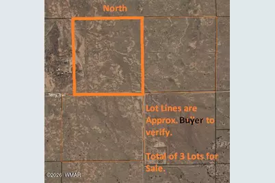 8358 Terry Trail, Snowflake, AZ 85937 - Photo 10