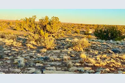 5913 Dark Canyon Drive, Heber, AZ 85928 - Photo 14