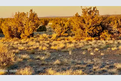 5913 Dark Canyon Drive, Heber, AZ 85928 - Photo 8