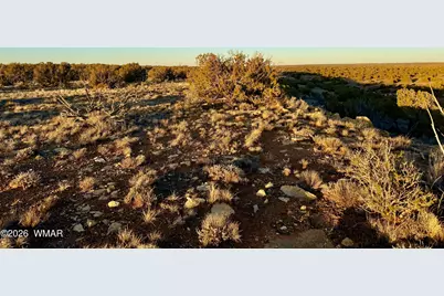 5913 Dark Canyon Drive, Heber, AZ 85928 - Photo 12