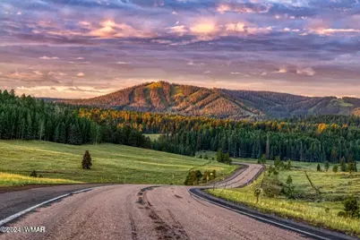 4910 W Mountain Hollow Loop, Show Low, AZ 85901 - Photo 38