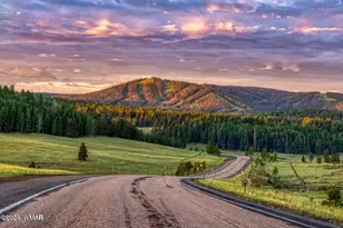 4910 W Mountain Hollow Loop, Show Low, AZ 85901 - Photo 38