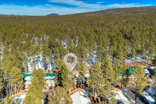 1460 S Adair Dr, Pinetop, AZ 85935 - Photo 22