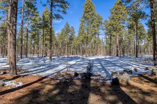 1460 S Adair Dr, Pinetop, AZ 85935 - Photo 24