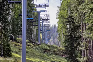 1460 S Adair Dr, Pinetop, AZ 85935 - Photo 34