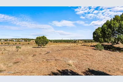 Tbd Old Homestead Road, Show Low, AZ 85901 - Photo 12