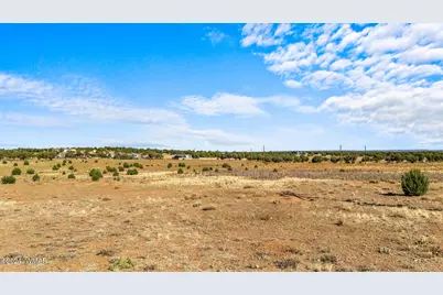 Tbd Old Homestead Road, Show Low, AZ 85901 - Photo 10