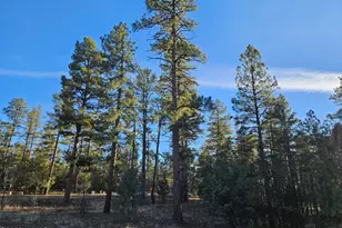 2500 S Pinegrass Rd, Show Low, AZ 85901 - Photo 1