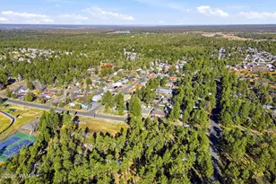 1240 W Owens, Show Low, AZ 85901 - Photo 28