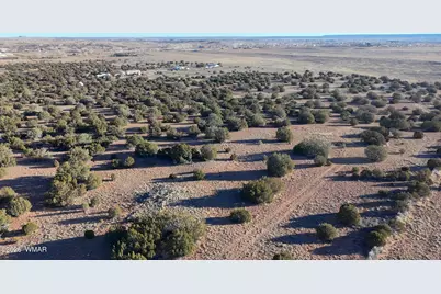 Tbd Arena Estates, Taylor, AZ 85939 - Photo 14