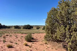 004 N9027, Concho, AZ 85924 - Photo 1