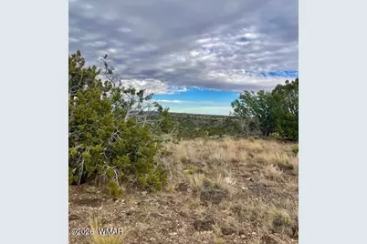 4016 North, Saint Johns, AZ 85936 - Photo 4