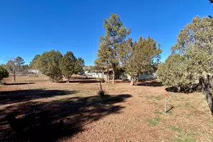 1107 Cochran Ln, Show Low, AZ 85901 - Photo 4