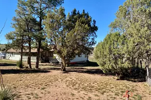 1107 Cochran Ln, Show Low, AZ 85901 - Photo 4