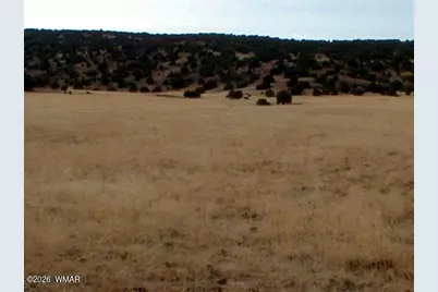 Lot 8 N8526, Concho, AZ 85924 - Photo 12