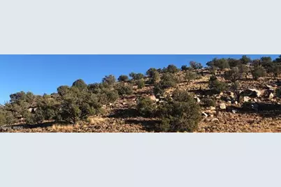 Lot 8 N8526, Concho, AZ 85924 - Photo 14