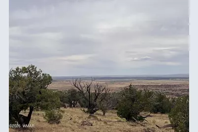 Lot 8 N8526, Concho, AZ 85924 - Photo 1