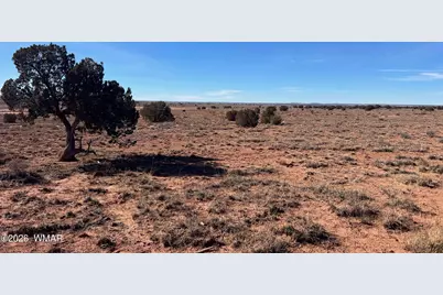 3635 Bull Hollow Road, Snowflake, AZ 85937 - Photo 8