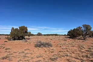 3635 Bull Hollow Rd, Snowflake, AZ 85937 - Photo 1