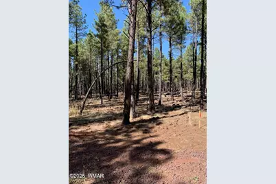 Tbd-2 Dynamite, Lakeside, AZ 85929 - Photo 1