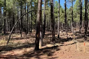 Tbd-2 Dynamite, Lakeside, AZ 85929 - Photo 1