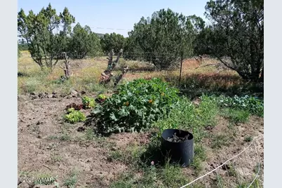 8594 Bobcat Drive, Show Low, AZ 85901 - Photo 6