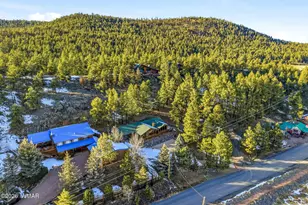 111 County Road 1120, Greer, AZ 85927 - Photo 40