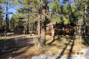 9286 Grizzly Bear Rd, Lakeside, AZ 85929 - Photo 2