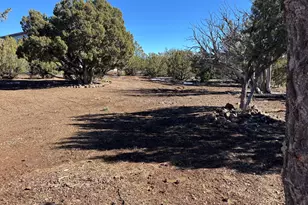 22 Co Rd, Vernon, AZ 85940 - Photo 34