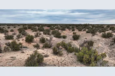 84 Cr North 6269, Saint Johns, AZ 85936 - Photo 28