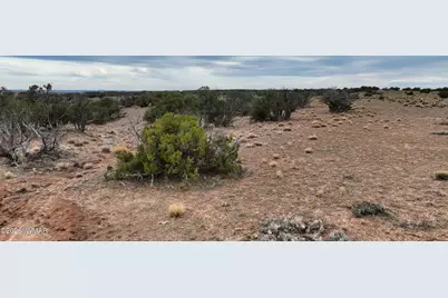84 Cr North 6269, Saint Johns, AZ 85936 - Photo 14
