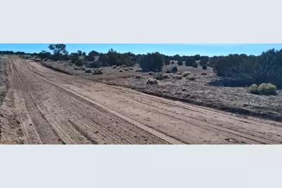 24 County Rd N6578, Saint Johns, AZ 85936 - Photo 14
