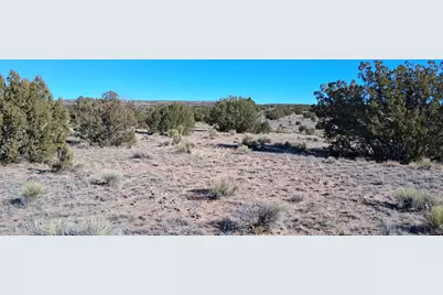 24 County Rd N6578, Saint Johns, AZ 85936 - Photo 2