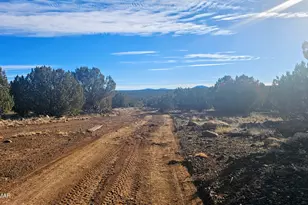 Tbd Coral Rd, Show Low, AZ 85901 - Photo 1