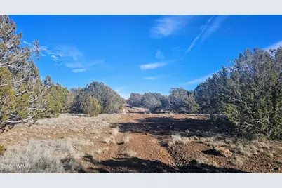 Tbd Coral Road, Show Low, AZ 85901 - Photo 4