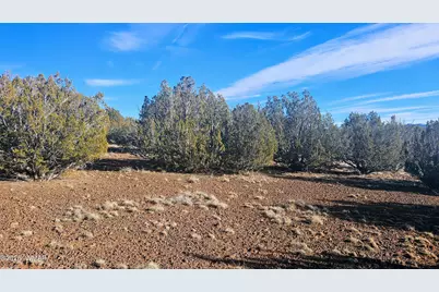 Tbd Coral Road, Show Low, AZ 85901 - Photo 8