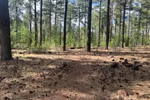 1460 S Adair Dr, Pinetop, AZ 85935 - Photo 46