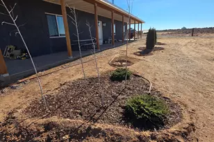 5057 Churchill Rd, Snowflake, AZ 85937 - Photo 4