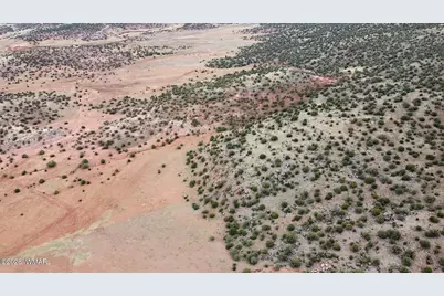 Lot 13 N8526, Concho, AZ 85924 - Photo 6