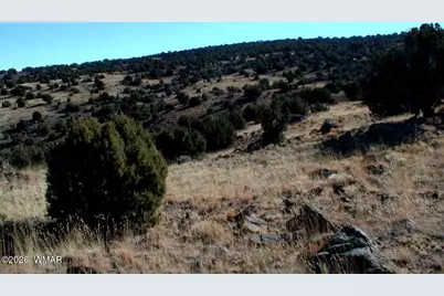Lot 13 N8526, Concho, AZ 85924 - Photo 14