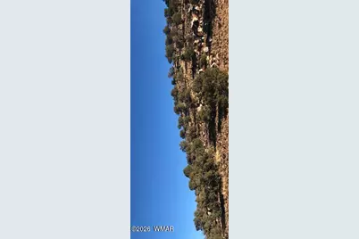 001 N8526, Concho, AZ 85924 - Photo 10